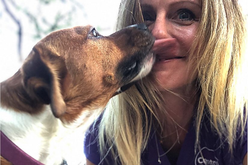 Central Bark Tampa, FL Doggy Day Care