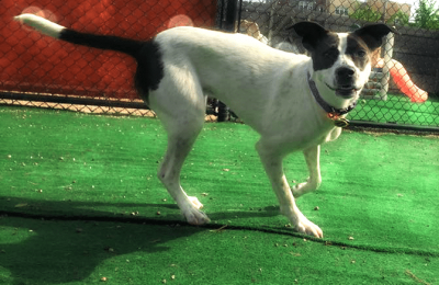 Congrats, Daisy C!