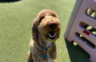 Tucker C. June 2020