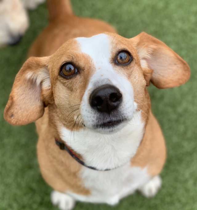 Congratulations Fitz!