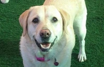 Congratulations, Molly!