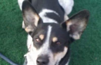 Congratulations, Rey!