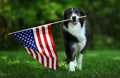 Patriotic Pup Snack