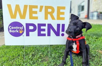 Black puppy near Central Bark The Woodlands Grand Opening Sign