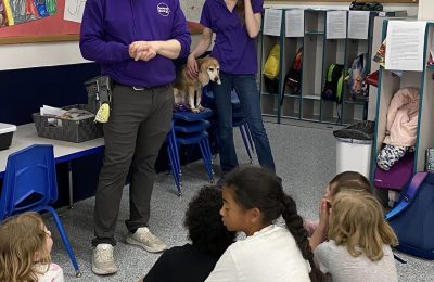 Central Bark Rochester’s National Dog Bite Prevention Month Tips