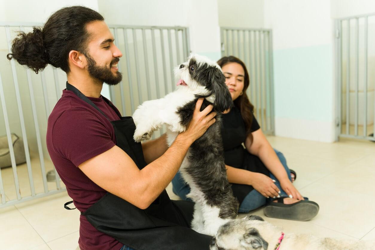 Daycare Essentially Good for Dogs