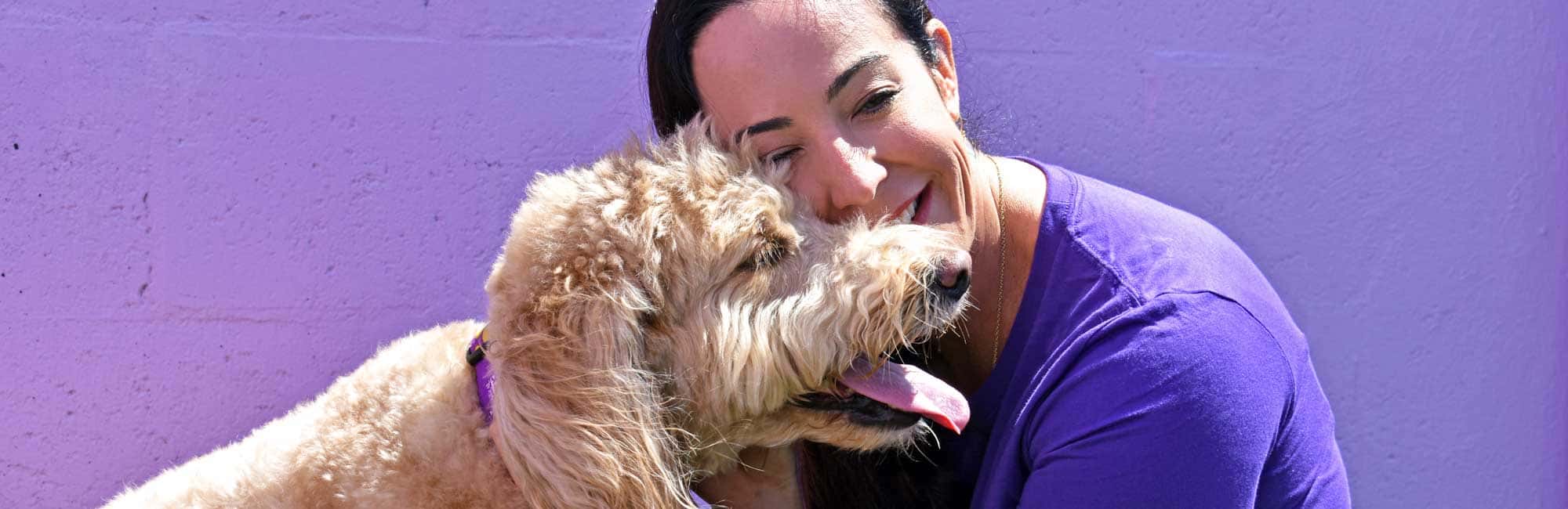 Happy dog cuddle
