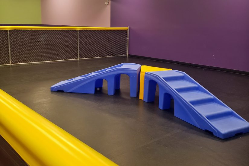 Central Bark York, PA Doggy Day Care