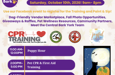 Fall Open House at Central Bark York