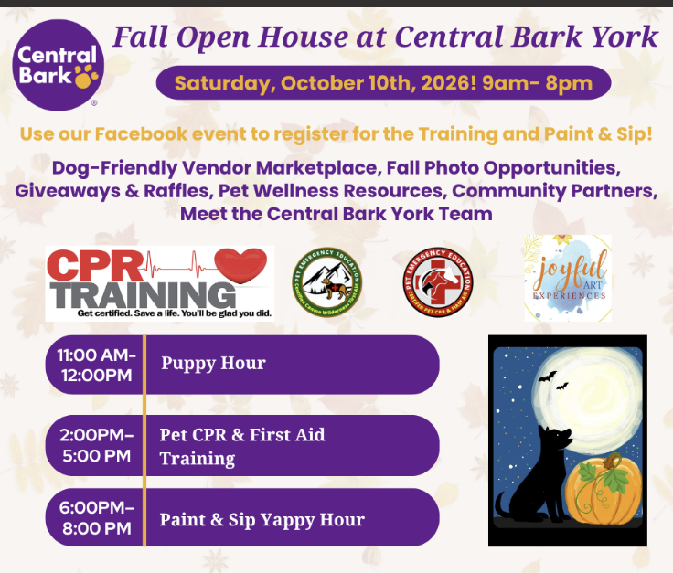 Fall Open House at Central Bark York